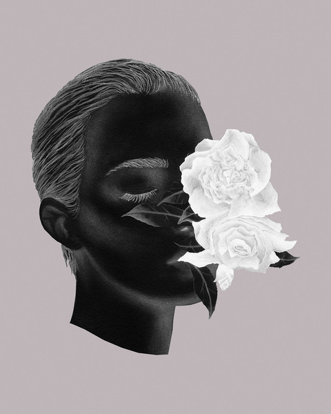 Chloris