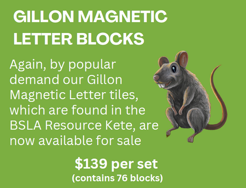 Gillon Magnetic Letter Blocks