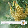 Forest Manna RAW Pine Pollen™ Tablets – 140 Count Pouch