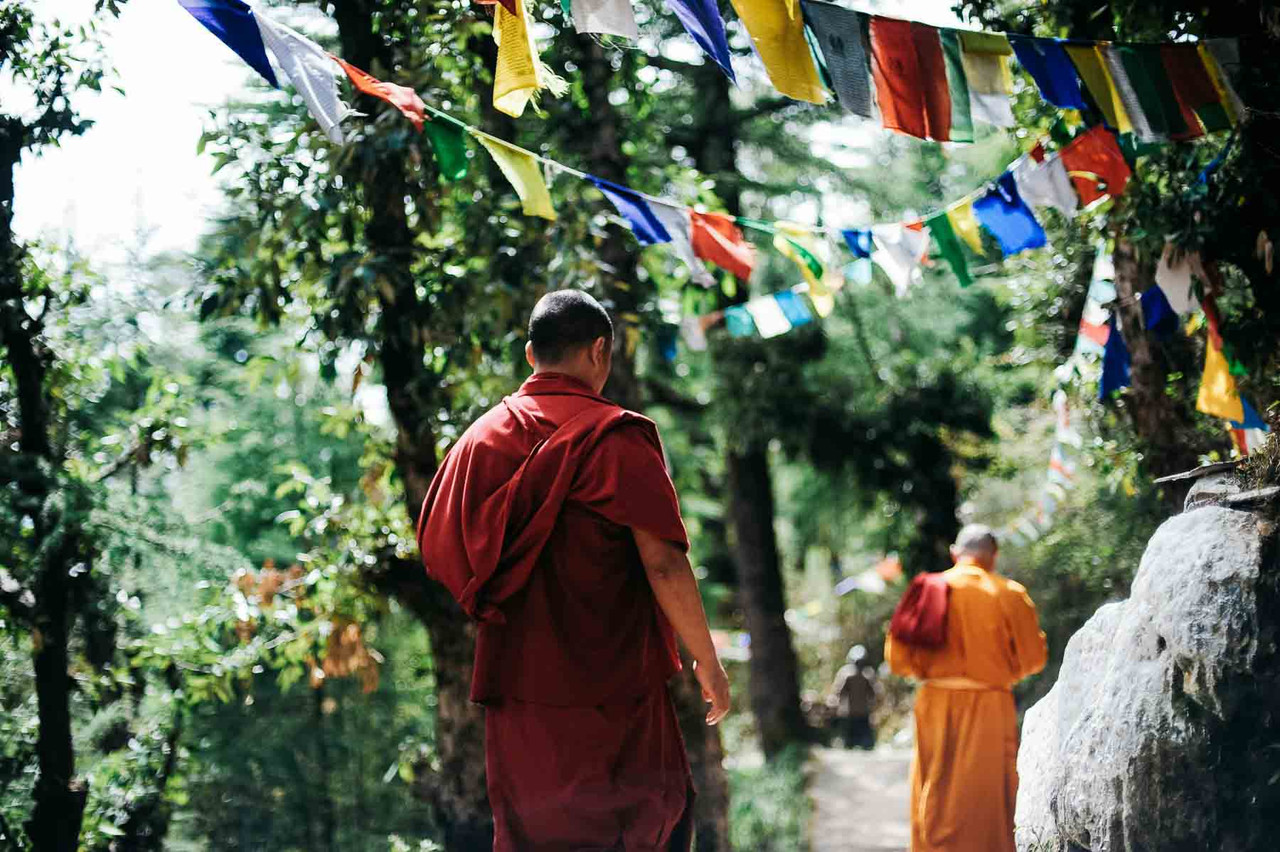 Understanding Shilajit: Mineral Medicine of the Mountains Understanding Shilajit: Mineral Medicine of the Mountains
