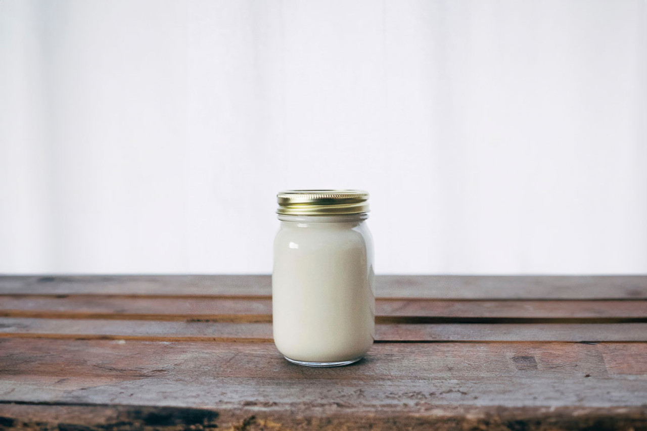 Probiotics and Testosterone? L. reuteri and Gut Health Guide Probiotics and Testosterone? L. reuteri and Gut Health Guide