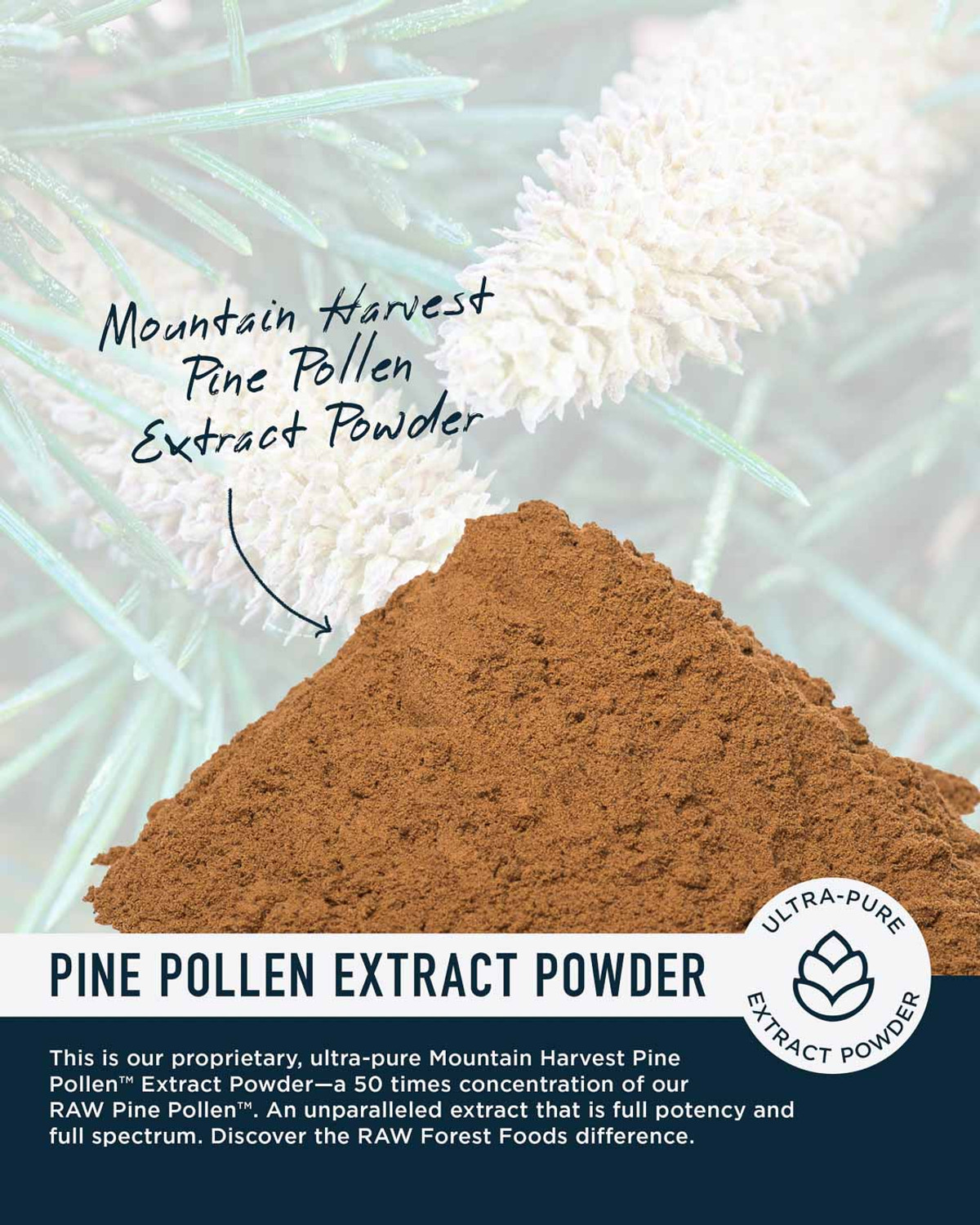 How to Harvest Pine Pollen - Curing Vision
