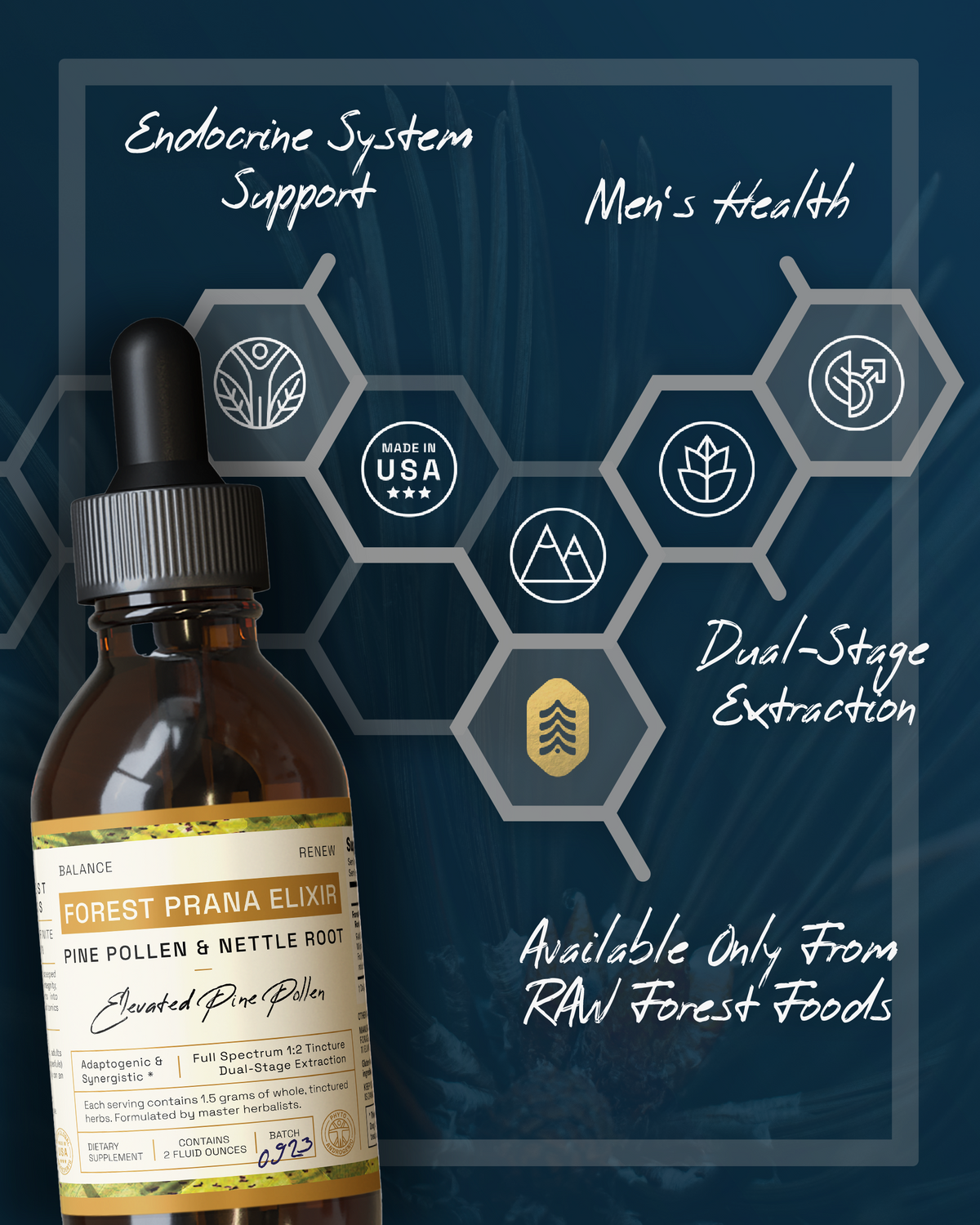 Forest Prana Elixir Pine Pollen and Nettle Root Tincture — Advanced  Synergistic Support — 2 Ounce Bottle