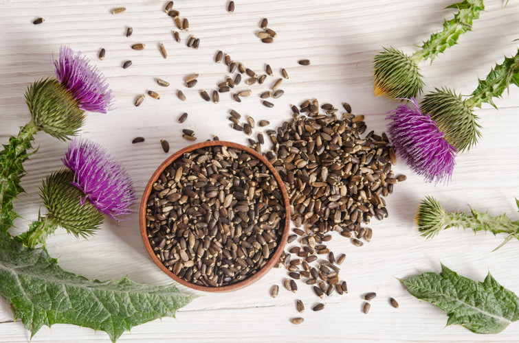 Liver Health and Estrogen Dominance