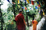 Understanding Shilajit: Mineral Medicine of the Mountains
