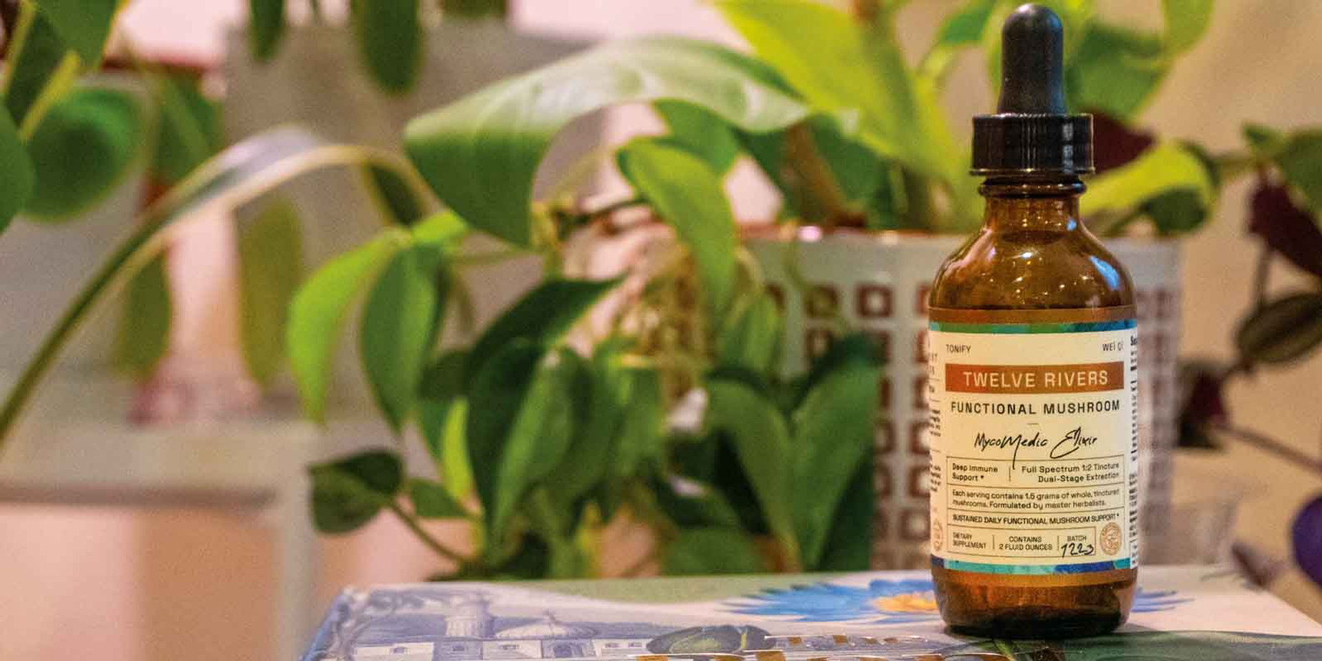 Twelve Rivers Functional Mushroom MycoMedic Elixir Tincture bottle surrounded by plants