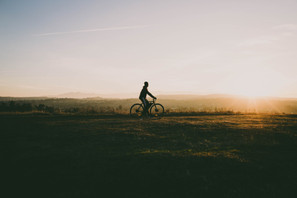 Epigenetic Effects of Exercise Epigenetic Effects of Exercise