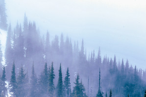 Winter Solstice and Immune Support Winter Solstice and Immune Support