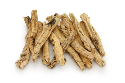 RAW Forest Foods TapRoot Extract Powder — The Deep Jing Formula