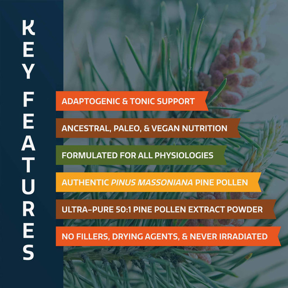 Forest Prana Pine Pollen 50:1 Extract Powder – 70 Gram Jar