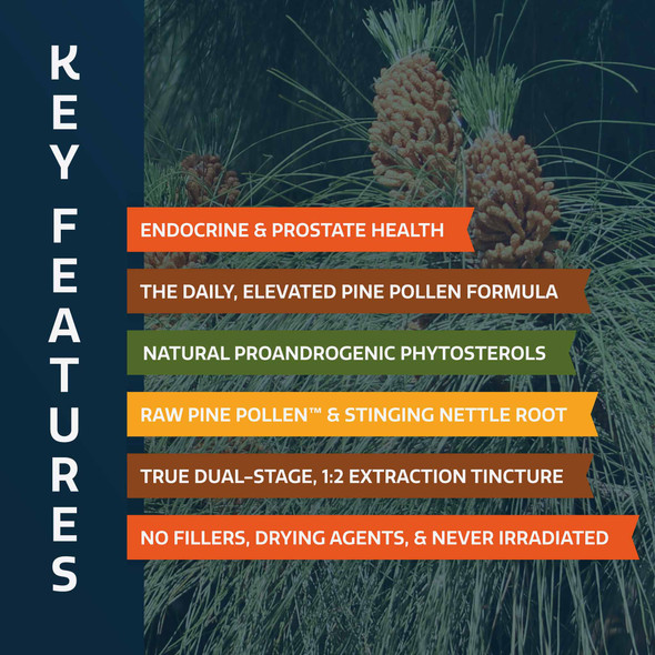 Forest Prana Pine Pollen and Nettle Root Elixir Tincture – 1:2 Extract – 2 and 4 Fl. Ounce Bottles