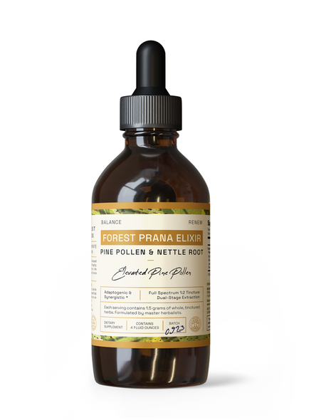 Forest Prana Elixir Pine Pollen and Stinging Nettle Root Tincture — Advanced Synergistic Support — Dual-Stage Extract — 4 Ounces