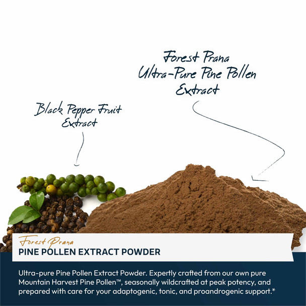 Forest Prana Pine Pollen 50:1 Extract Powder – 70 Gram Jar