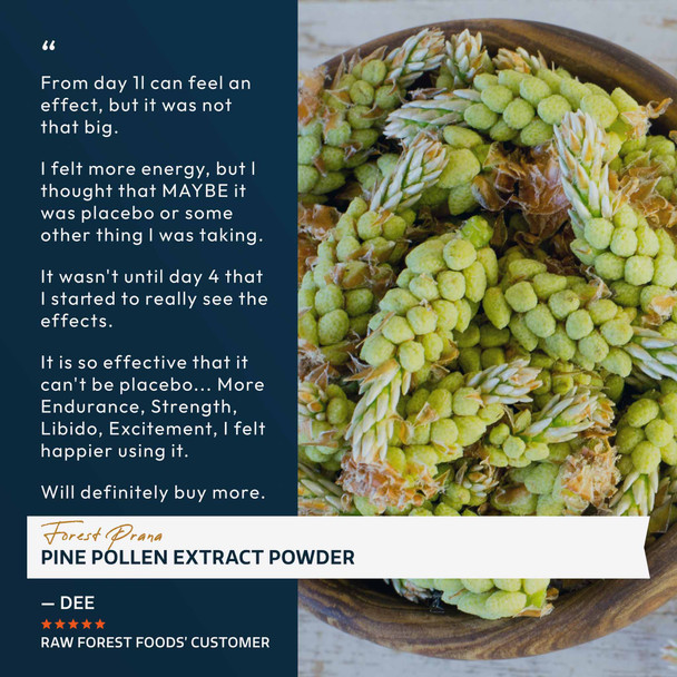 Forest Prana Pine Pollen 50:1 Extract Powder – 70 Gram Jar