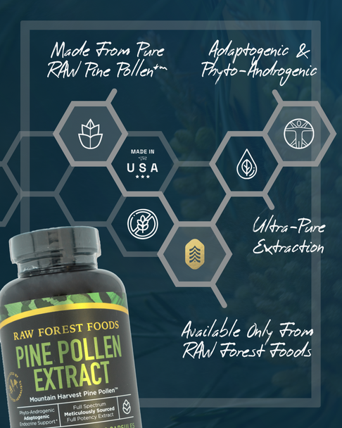 Pine Pollen Extract Capsules — Single Origin, Ultra-Pure & Full Potency Extract — 120 Count