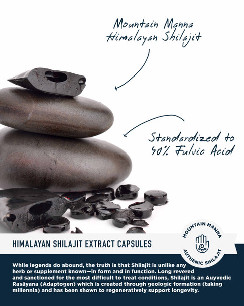 Himalayan Shilajit Extract Capsules — Ayurvedic Rasāyana Endocrine Support — 40% Fulvic Acid — 120 Count