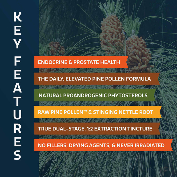 Forest Prana Pine Pollen and Nettle Root Elixir Tincture – 1:2 Extract – 2 and 4 Fl. Ounce Bottles