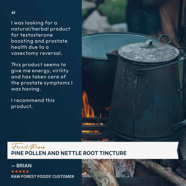 Forest Prana Pine Pollen and Nettle Root Elixir Tincture – 1:2 Extract – 2 and 4 Fl. Ounce Bottles