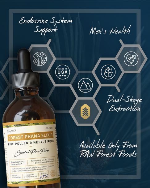 Forest Prana Elixir Pine Pollen and Stinging Nettle Root Tincture — Advanced Synergistic Support — Dual-Stage Extract — 4 Ounces