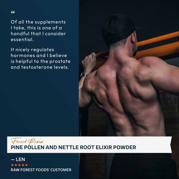 Forest Prana Pine Pollen and Nettle Root Elixir Powder – 70 Gram Jar