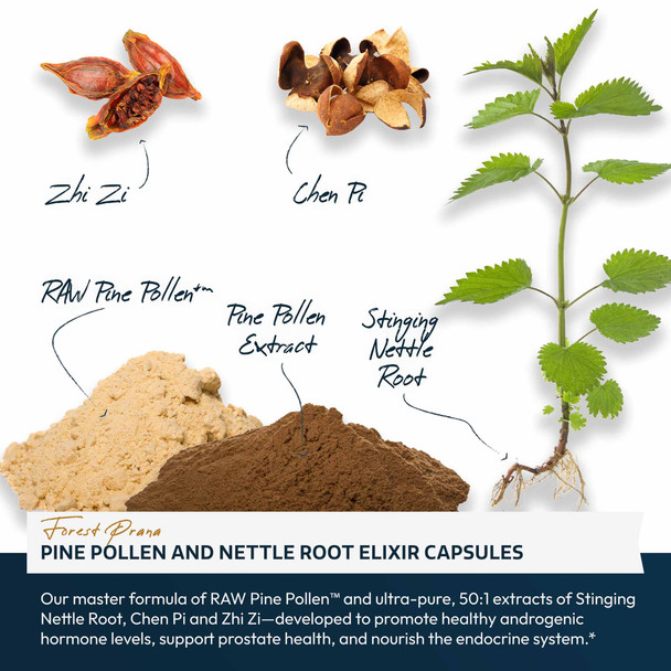 Forest Prana Pine Pollen and Nettle Root Elixir Capsules – 120 Count