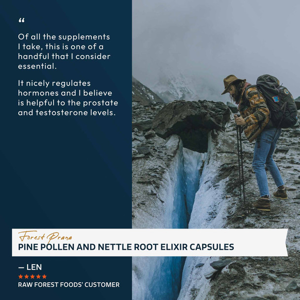 Forest Prana Pine Pollen and Nettle Root Elixir Capsules – 120 Count