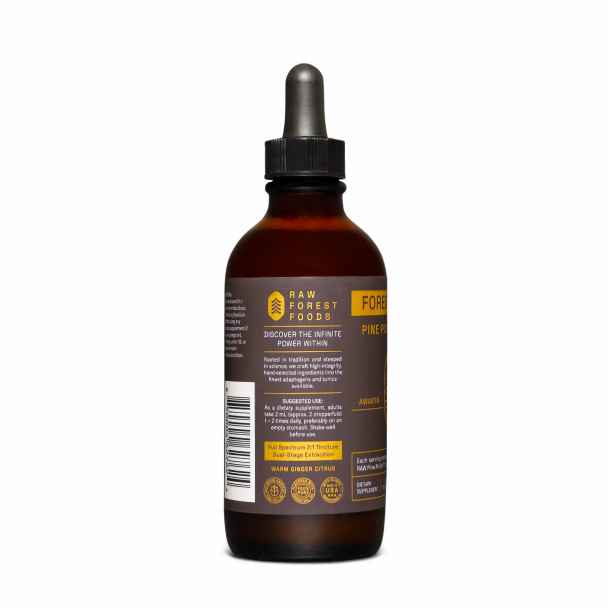 Forest Aurum Pine Pollen Nectar Tincture – 2:1 – 4 Fl. Ounce Bottle