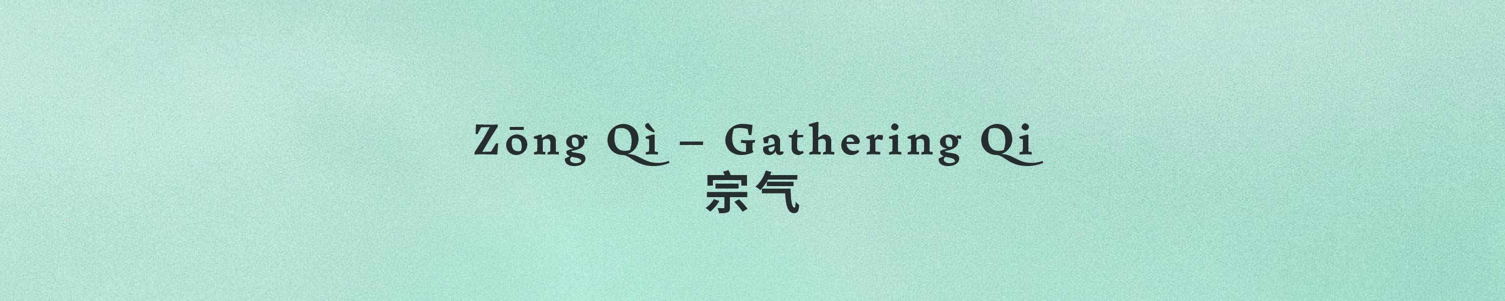 Zōng Qì (宗气) – Gathering Qi