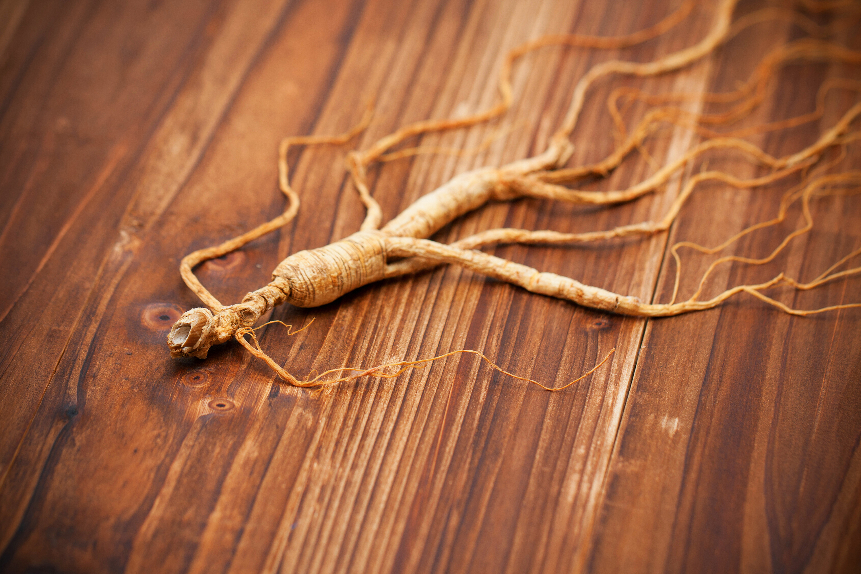 AKA Panax Ginseng Root