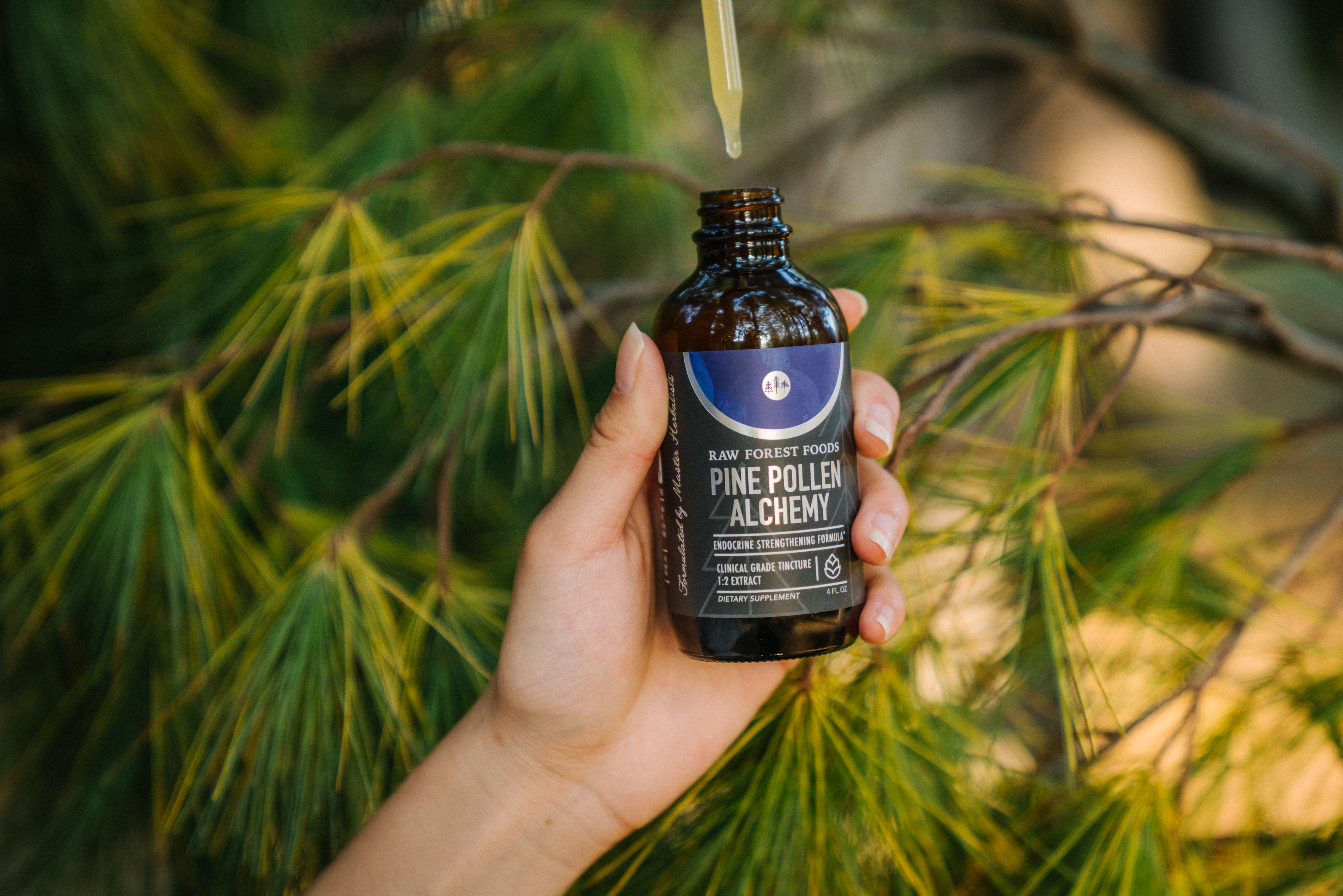 Pine Pollen Alchemy Tincture Pine Pollen Alchemy Tincture