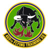 469th Flying Training Squadron Patch
