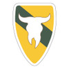 163rd Armored Brigade, US Army Patch
