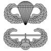 Stacked Airborne Air Assault Wings patch