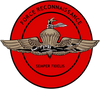 USMC Force Recon Patch