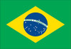 Brazil Flag Patch