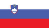 Slovenia Flag Patch