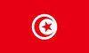 Tunisia Flag Patch