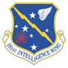 181st Intelligence Wing Patch