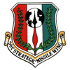 381st Strategic Missile Wing Patch