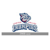 Lehigh Valley IronPigs Patch