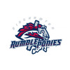 Binghamton Rumble Ponies Patch