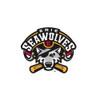 Erie SeaWolves Patch