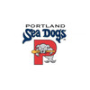 Portland Sea Dogs Patch