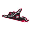 Richmond Flying Squirrels Patch