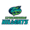 Lynchburg Hillcats Patch