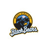 West Virginia Black Bears Patch