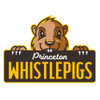 Princeton WhistlePigs Patch