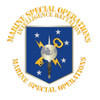 Marine Special Operations Intelligence Battalion, USMC Patch