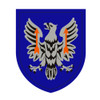 11th Aviation Brigade, US Army Patch