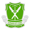 5th Armored Division, US Army Patch
